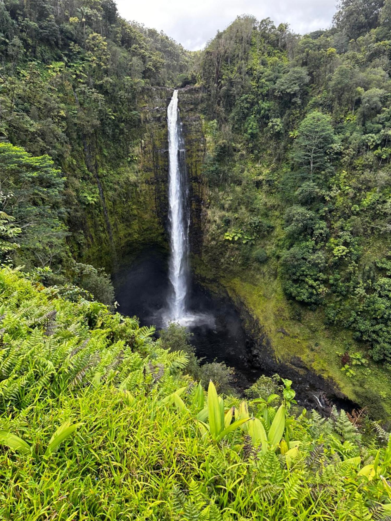 Wild Ginger Hotel Hilo Exterior foto