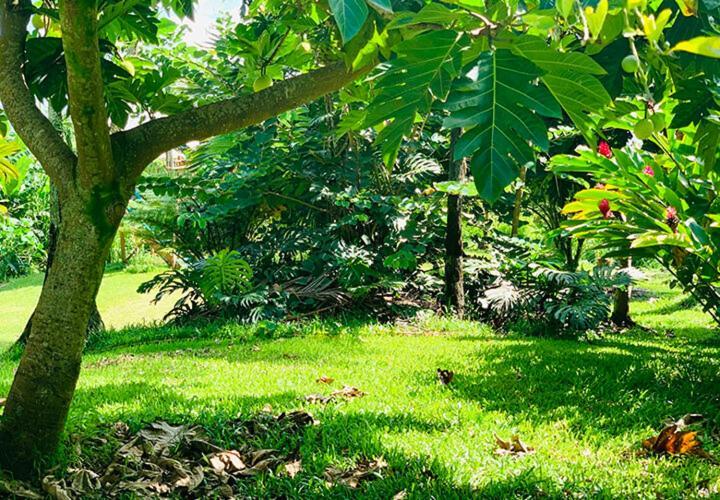 Wild Ginger Hotel Hilo Exterior foto